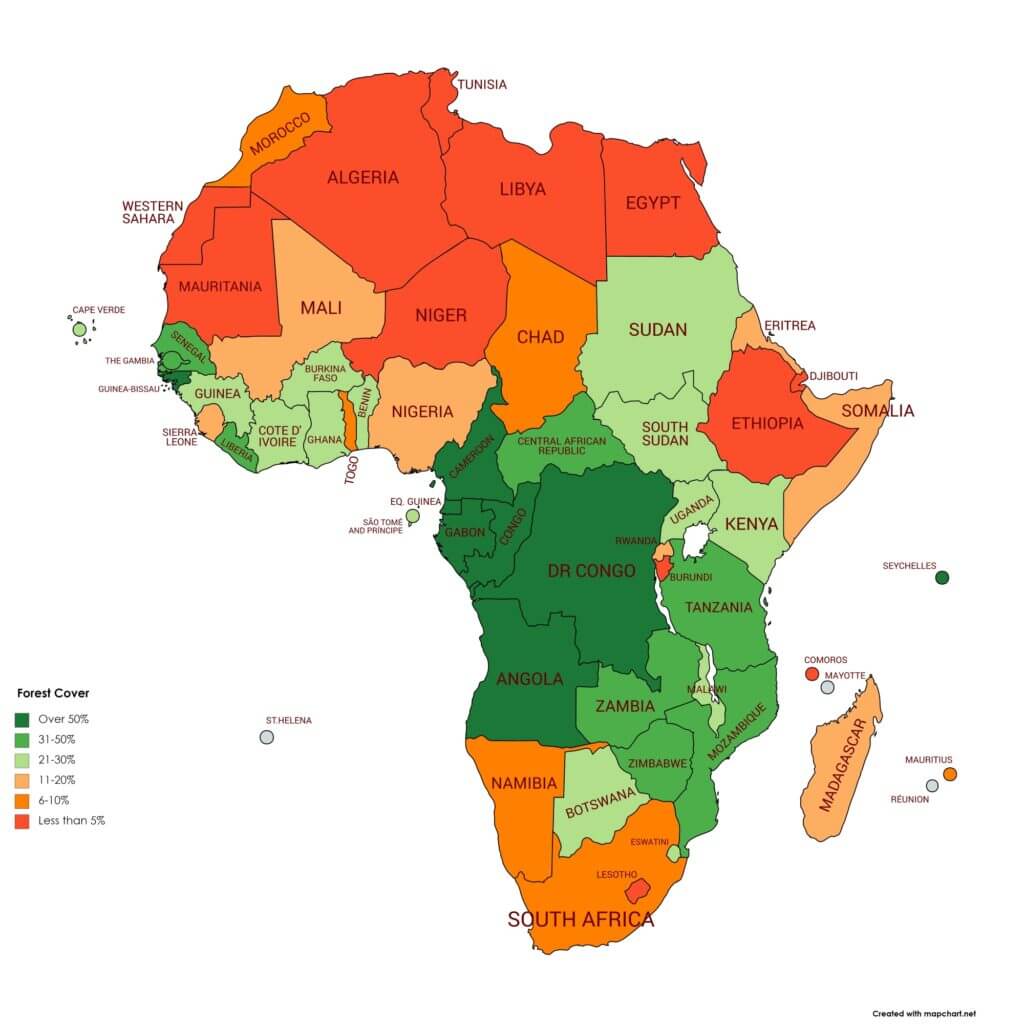 Africa Forestry